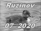 Ruzinov
